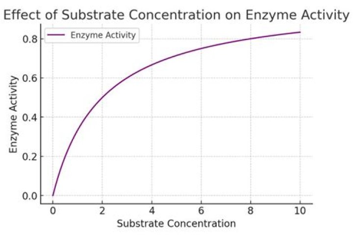 How concentration of substrate affects enzyme activity?