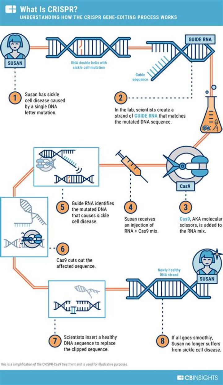 How crispr is used?