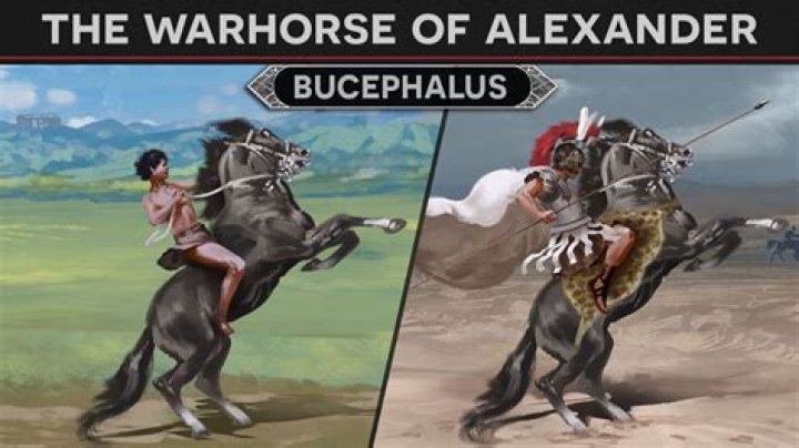How did alexander the great taming bucephalus?