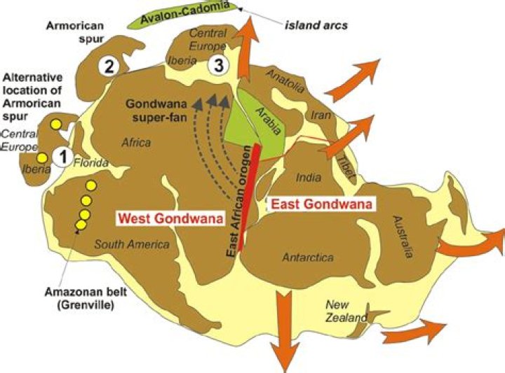 How did gondwanaland break up?