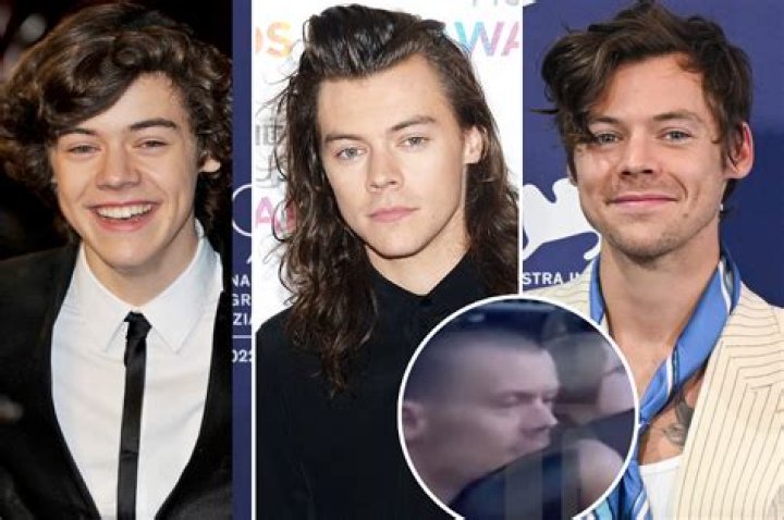 How did harry styles get famous?