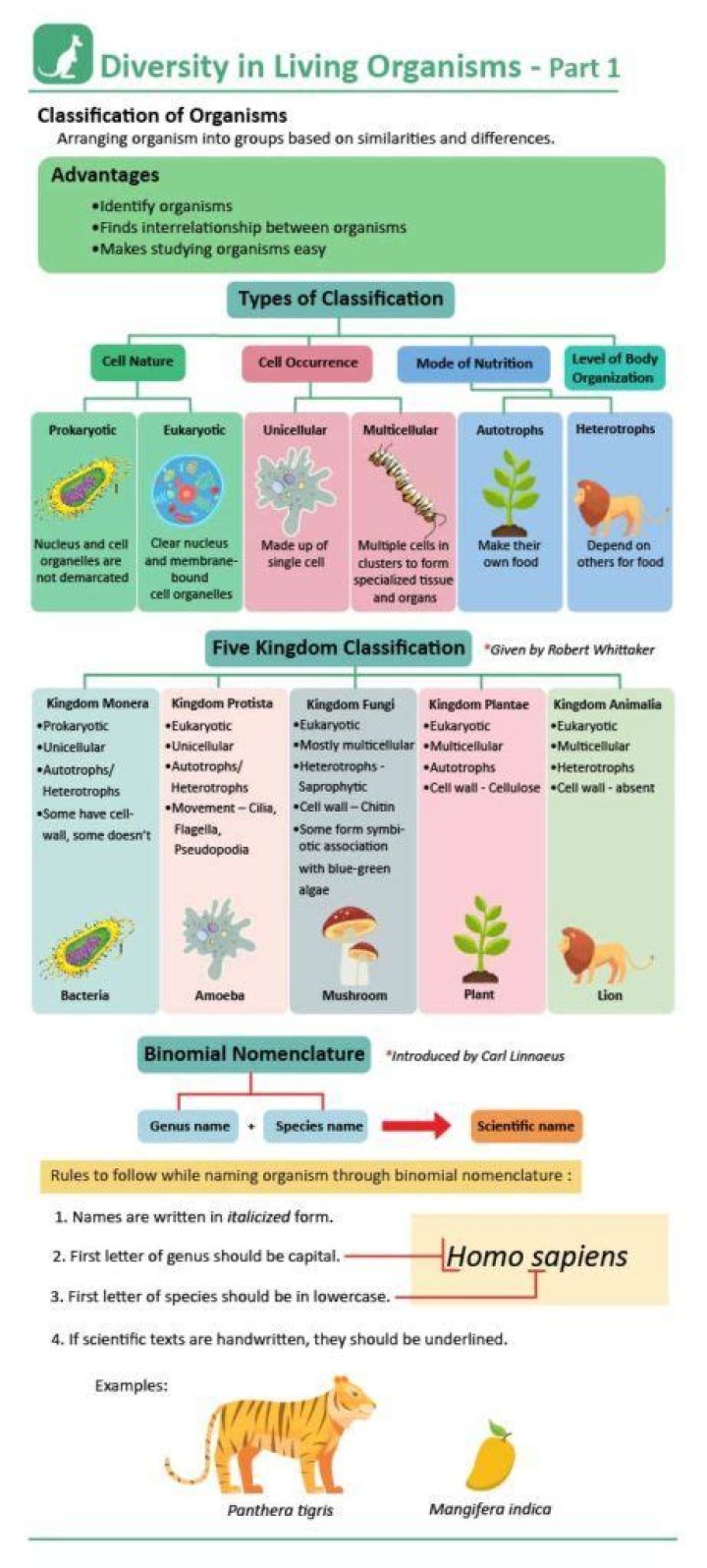 How did whittaker classify organisms?
