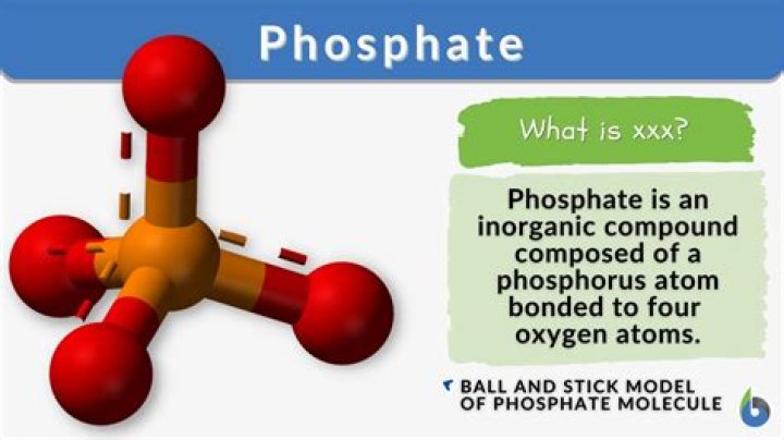 How do phosphonates work?