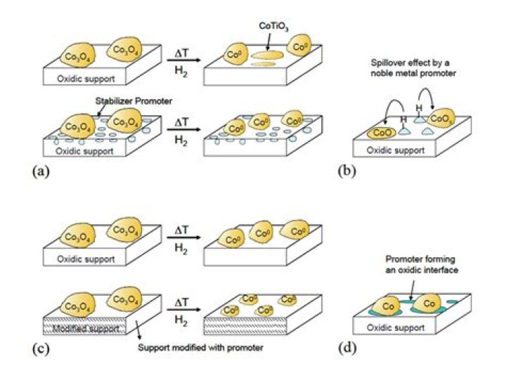 How do promoters work?