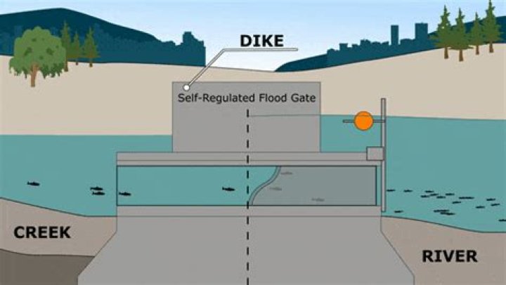 How do the venice floodgates work?