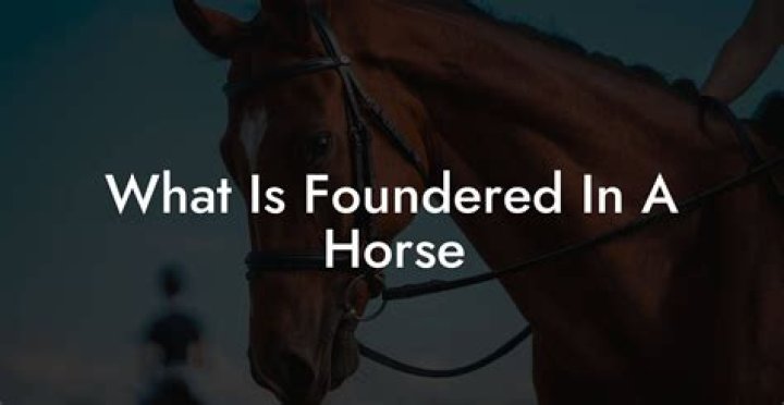 How does a foundered horse walk?