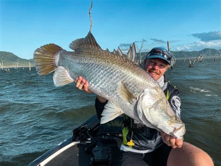 How does barramundi taste?