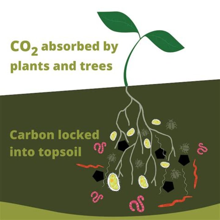 How does biochar sequester carbon?