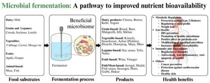 How does biotransformation occur?