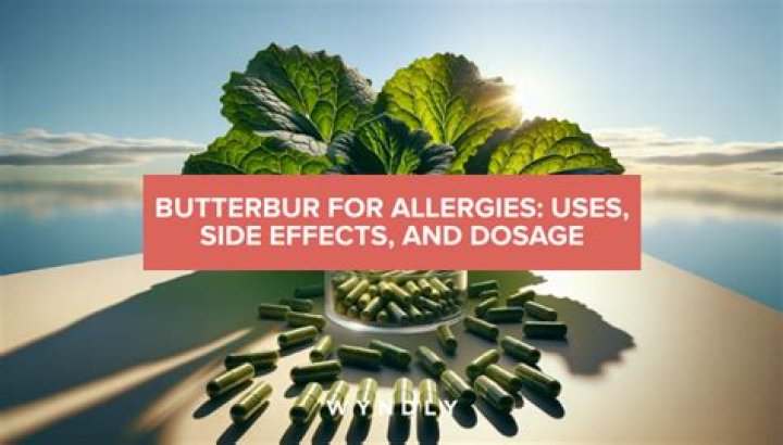 How does butterbur work?