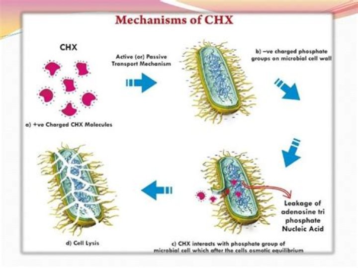 How does chg work?