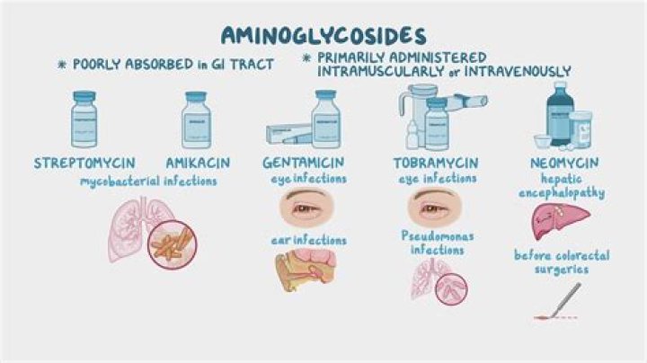 How does gentamicin cause hearing loss?