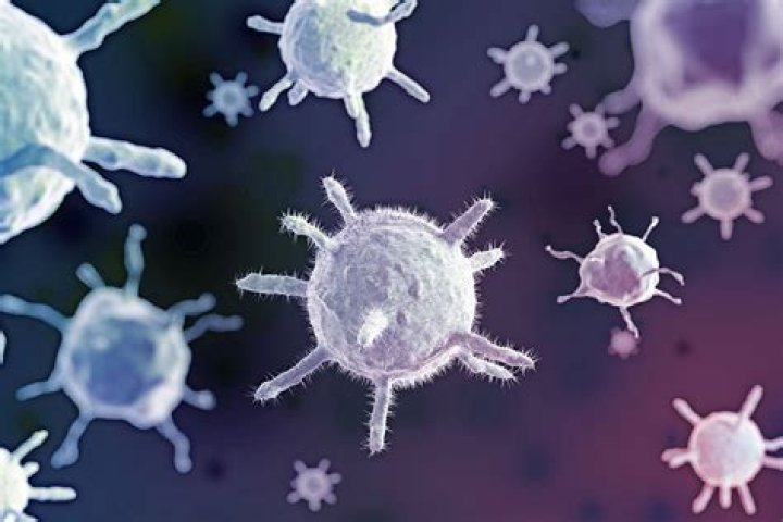 How does heteroplasmy occur?