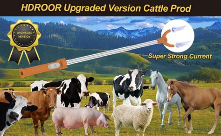 How does larkspur kill cattle?