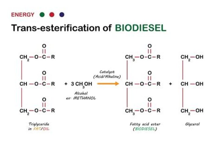 How does transesterification work?