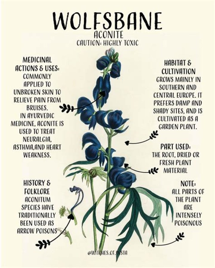 How does wolfsbane kill you?