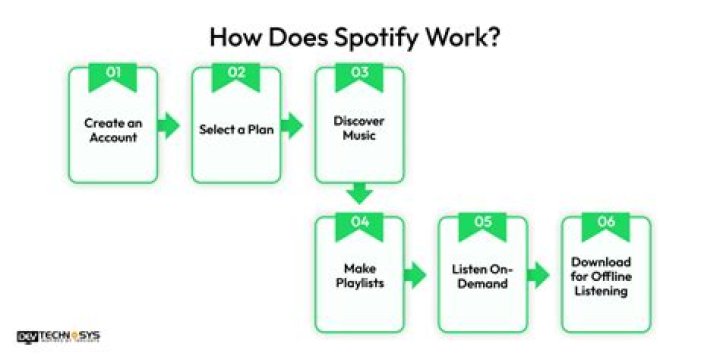 How duo spotify works?