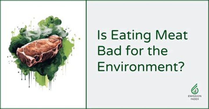 How eating meat is bad for the environment?