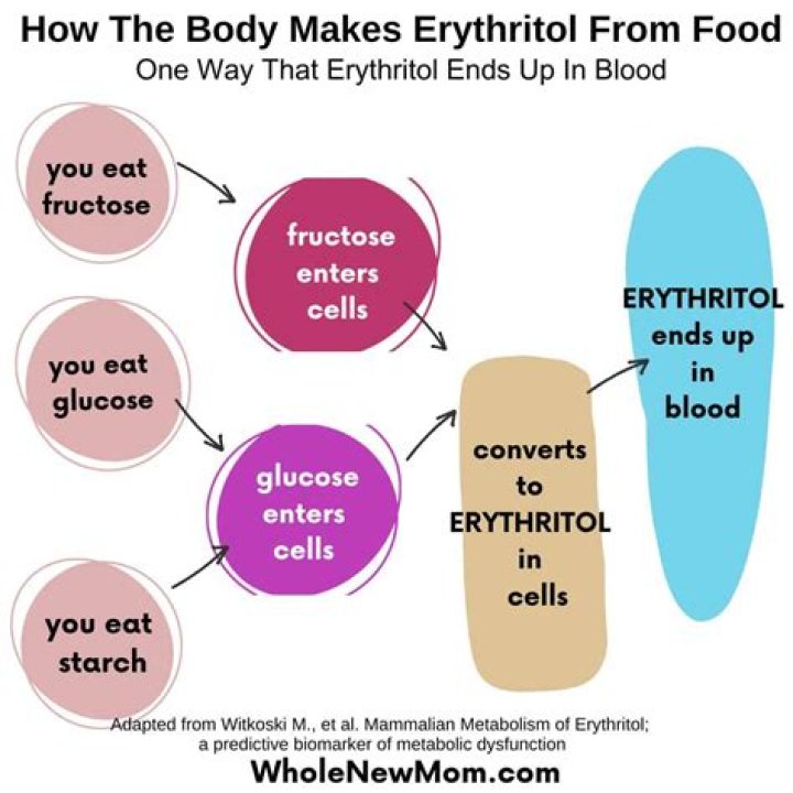 How erythritol is made?