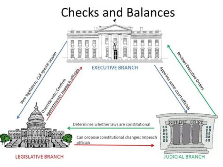 How executive checks legislative?