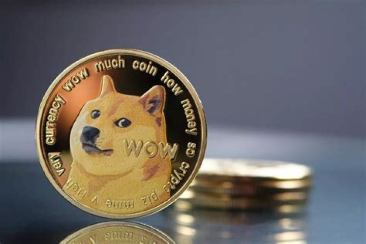 How far is dogecoin going?