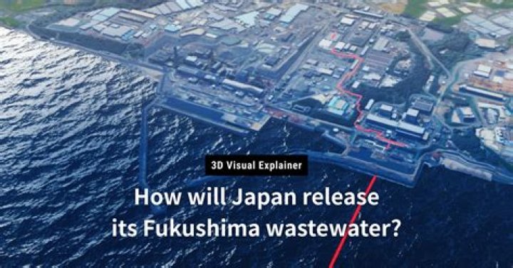 How fukushima could have been prevented?