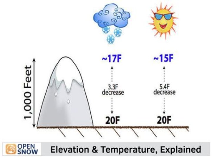 How germination affects temperature?