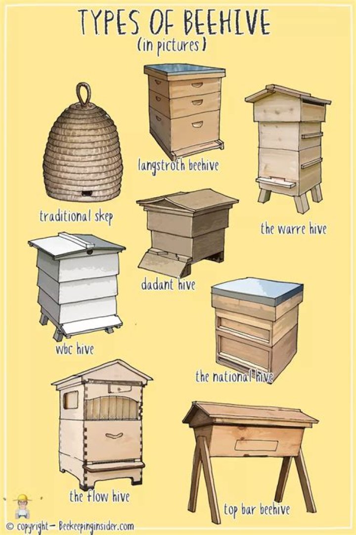 How hives is made?
