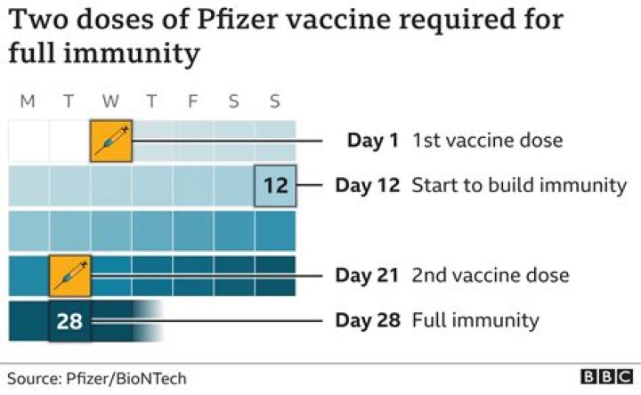 How immunized after first pfizer shot?