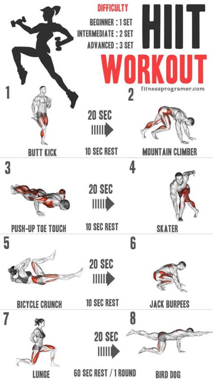 How insanity workout works?