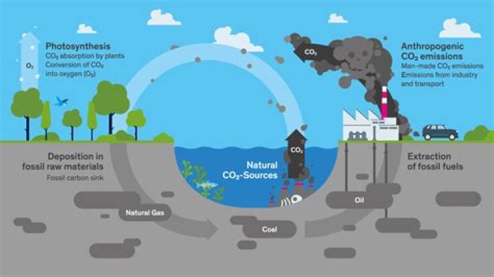 How is carbon dioxide sequestered in our environment?