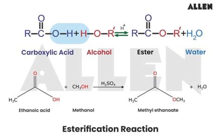 How is esterification reversible?