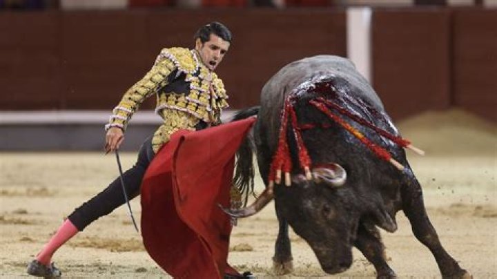 How is la corrida de toros?