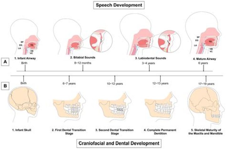 How is labiodental formed?