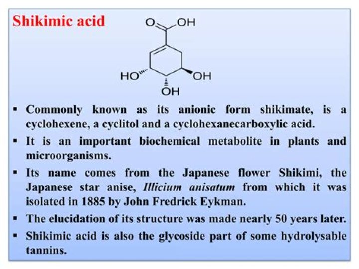How is shikimic acid formed?