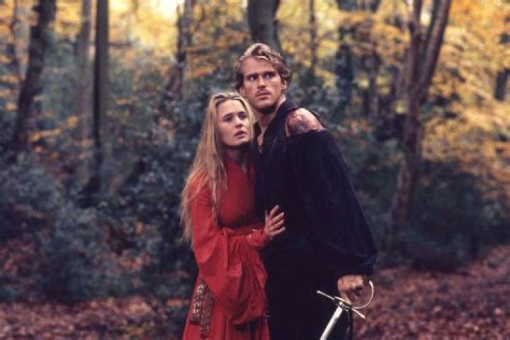 How is westley a hero in the princess bride?