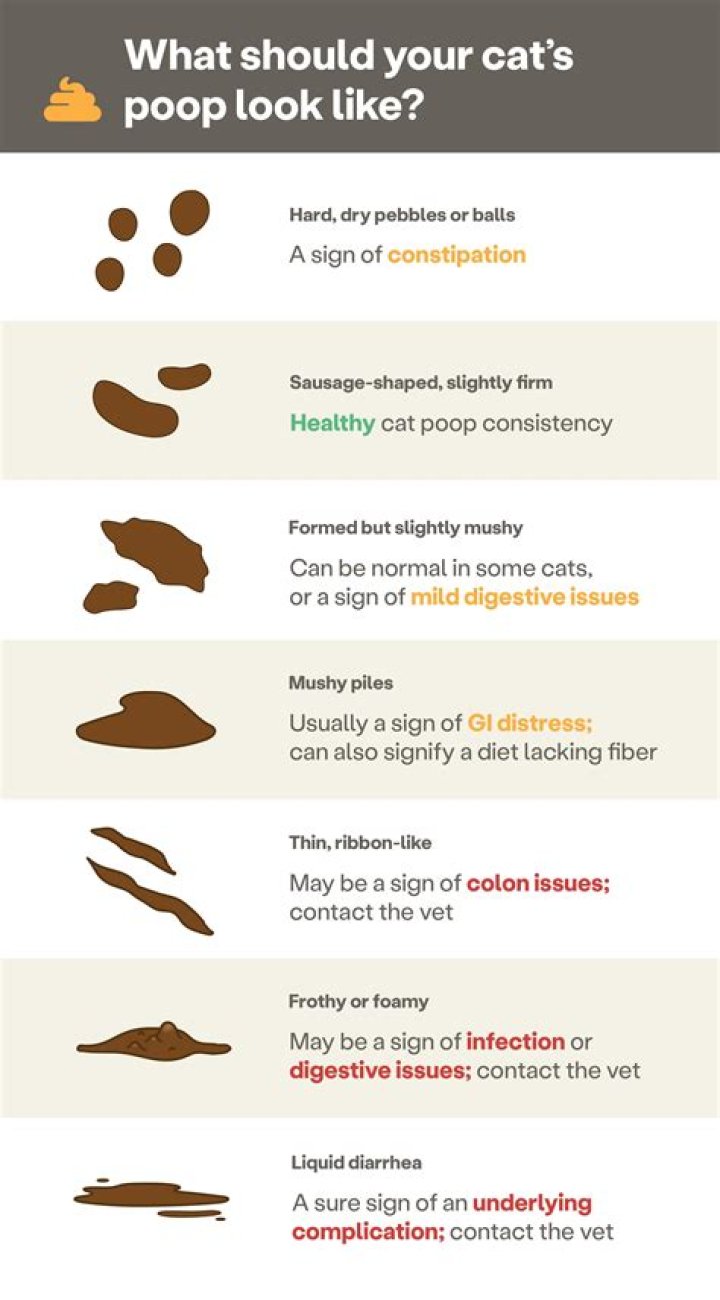 How long are turds supposed to be?