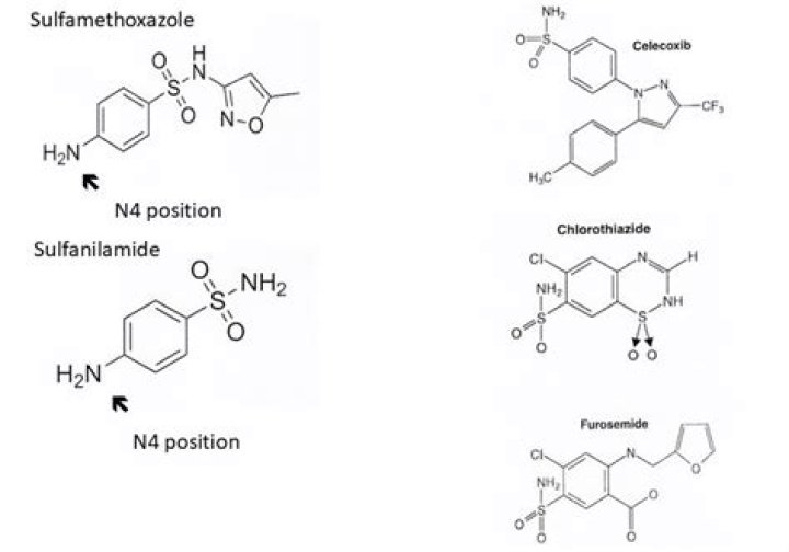How long does sulfasalazine take to work?