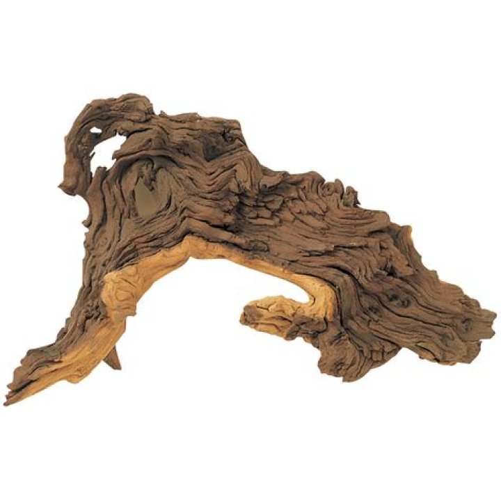 How long to soak mopani wood?