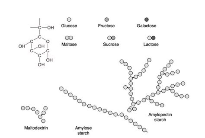 How maltodextrin is made?