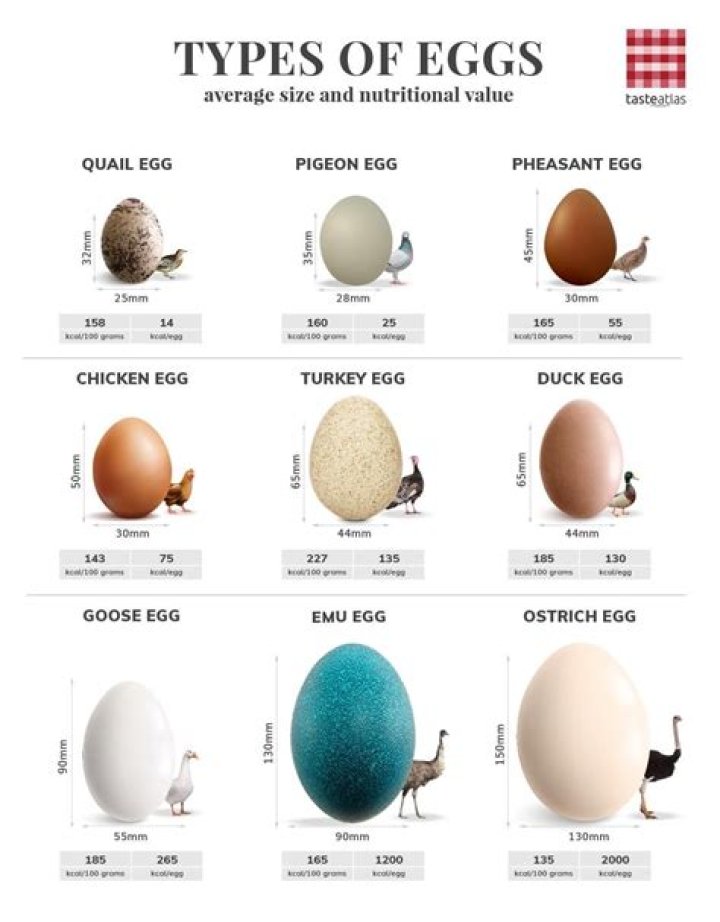 How many different types of eggs are there?