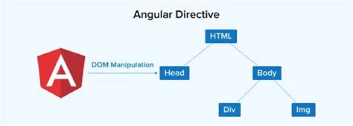 How many directives in angular?