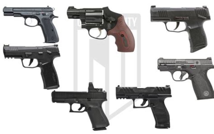 How many handguns can you own?