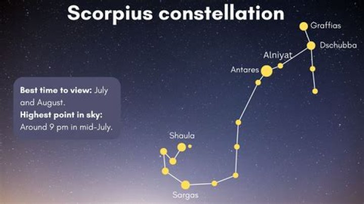 How many stars in the chamaeleontis constellation?