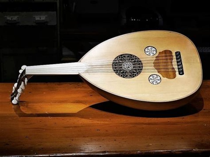 How many string does a lute have?