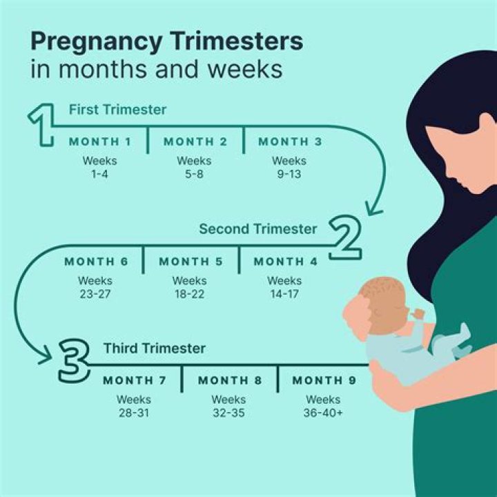 How many weeks is term time?