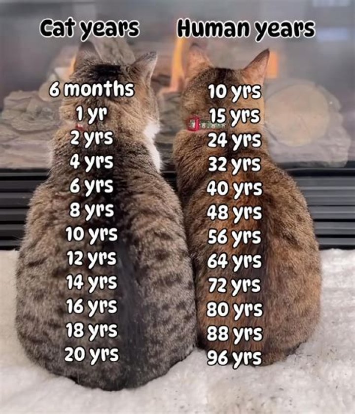 How many years does a century have?