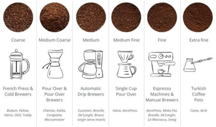 How much coffee grinds for french press?