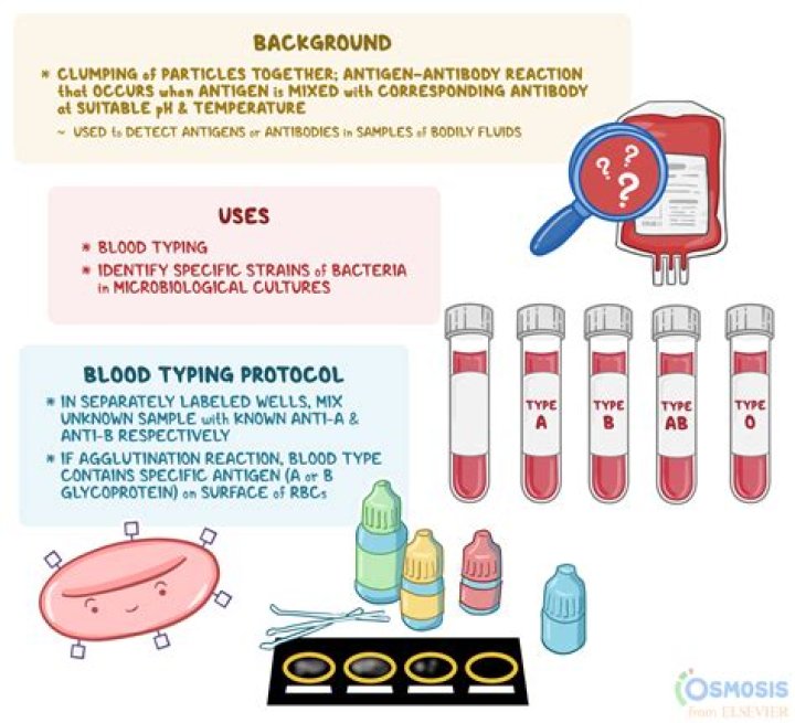 How much does a blood test cost?