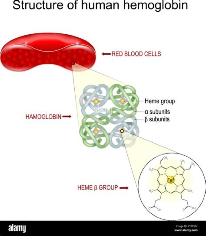 How much haemoglobin is normal?